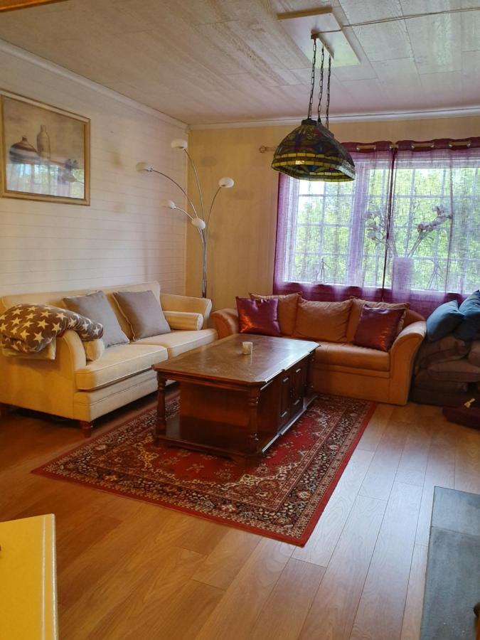 Valhalla Bengtfors Private House Бенгтсфорс Экстерьер фото